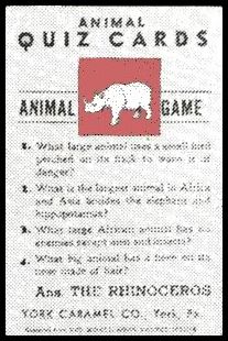 R16 York Animal Quiz Cards The Rhinoceros